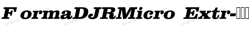 F ormaDJRMicro  Extr字体转换